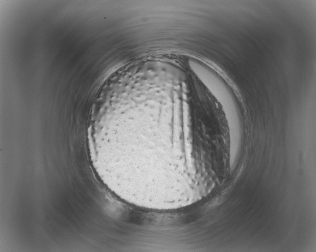 X0000080781289200701051318