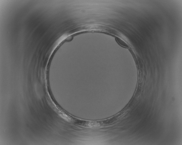 X0000080781291200701051318