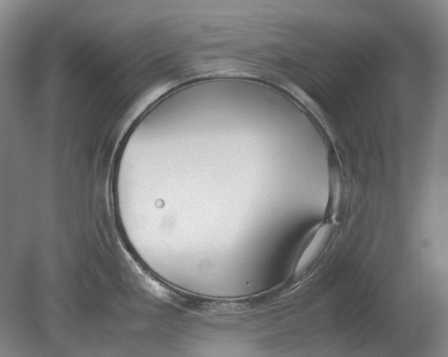 X0000080781293200701051318
