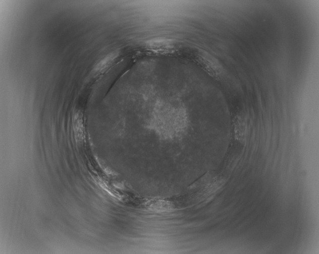 X0000080781298200701051317