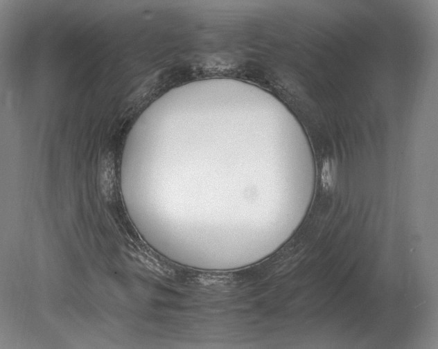 X0000080781299200701051317