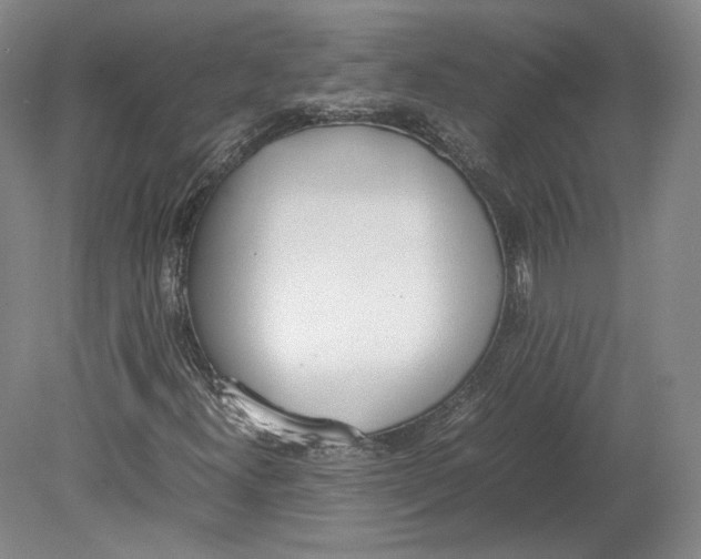 X0000080781300200701051317