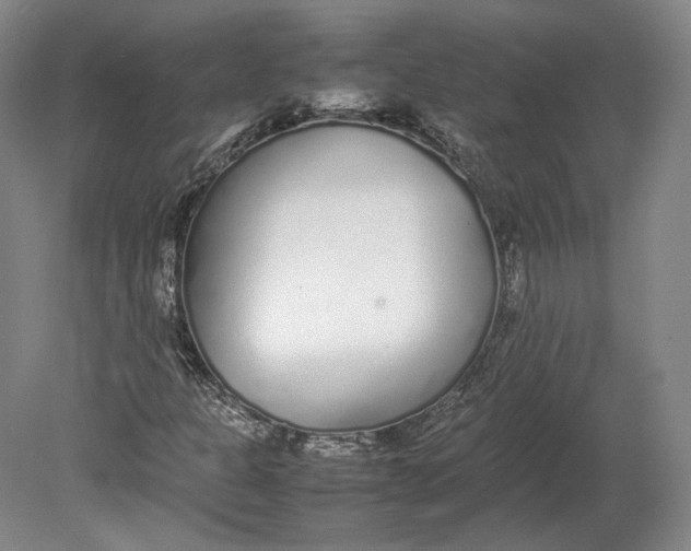 X0000080781301200701051317