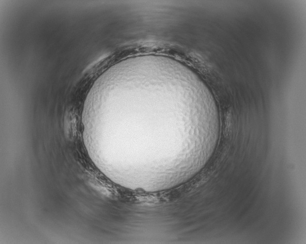 X0000080781302200701051317