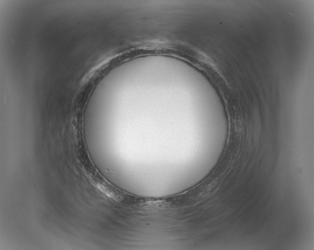 X0000080781304200701051317