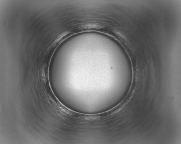 X0000080781305200701051317
