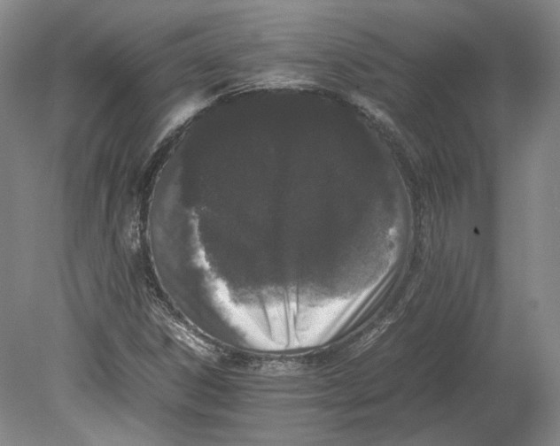 X0000080781306200701051317