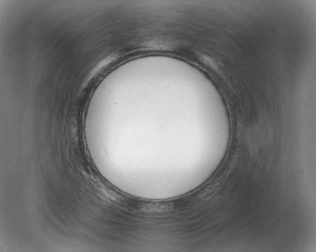 X0000080781307200701051317