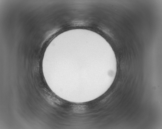 X0000080781309200701051317