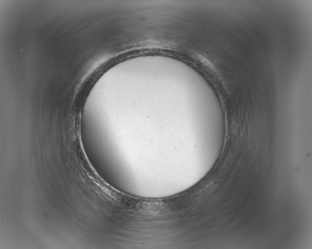 X0000080781310200701051317