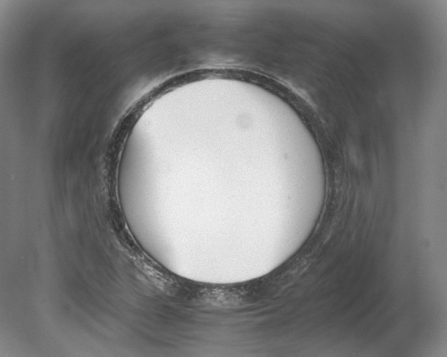 X0000080781311200701051317