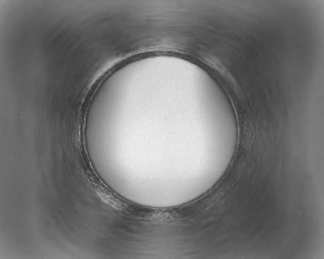 X0000080781316200701051317