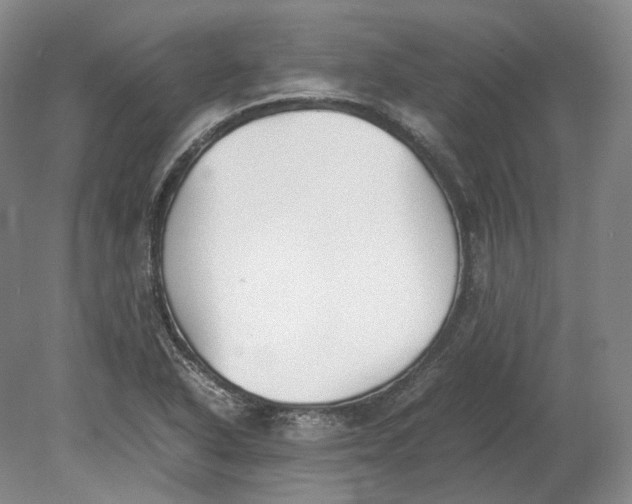 X0000080781318200701051317