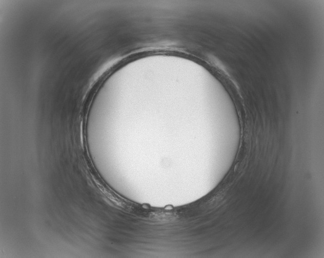 X0000080781320200701051317