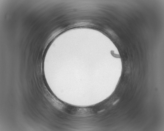 X0000080781322200701051317