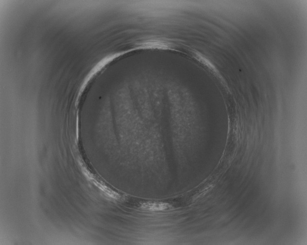 X0000080781323200701051317
