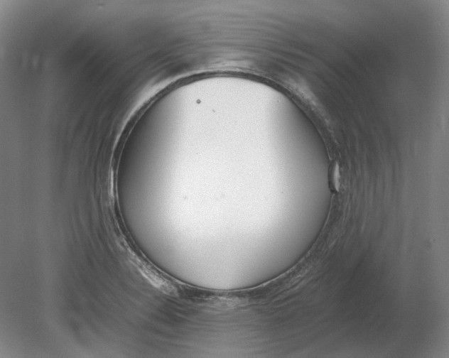 X0000080781324200701051317