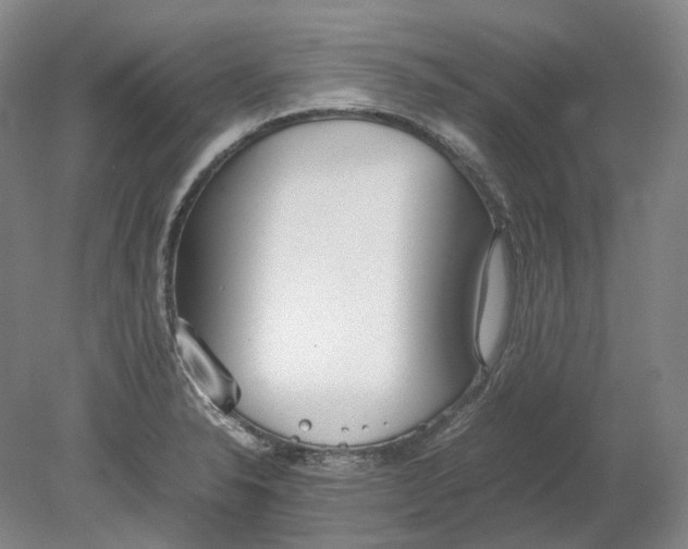 X0000080781326200701051317