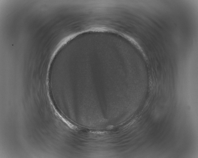 X0000080781327200701051317