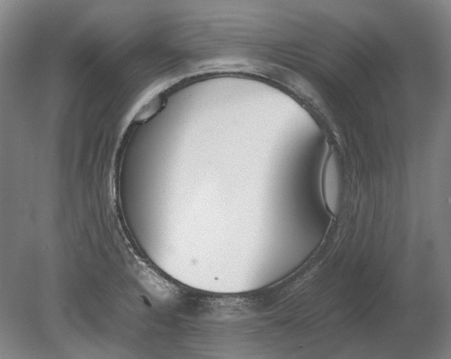X0000080781328200701051317