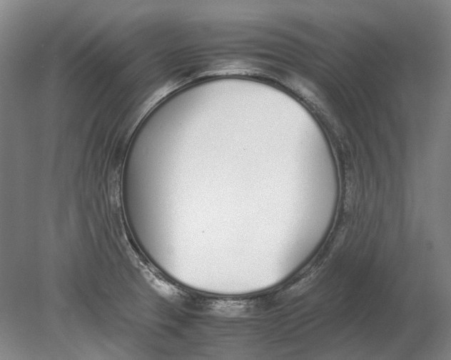 X0000080781329200701051317