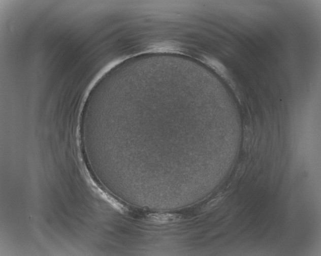 X0000080781331200701051317