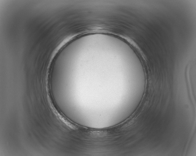 X0000080781333200701051318