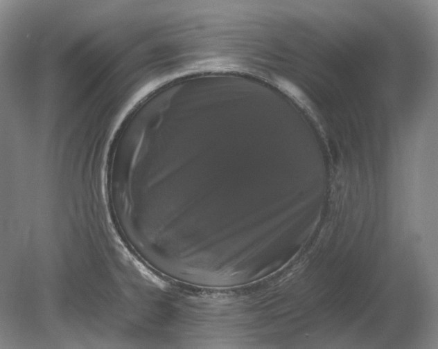 X0000080781334200701051318