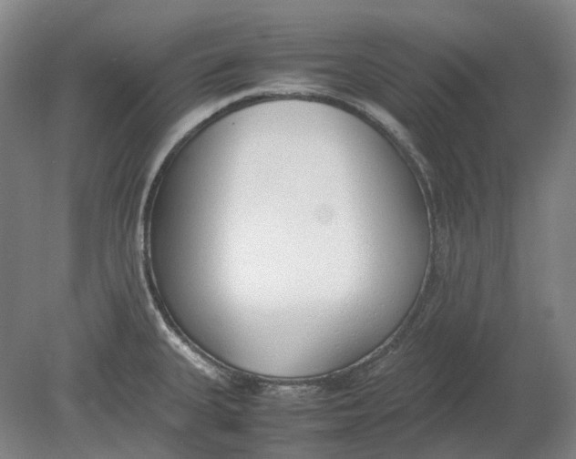 X0000080781335200701051318
