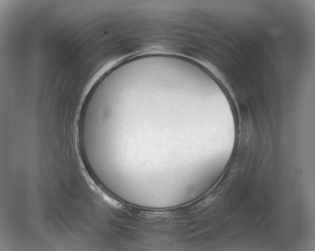 X0000080781341200701051318