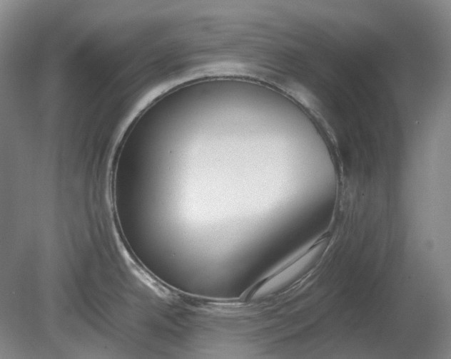 X0000080781342200701051318