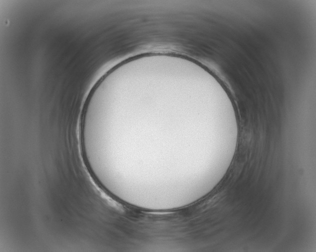 X0000080781343200701051318