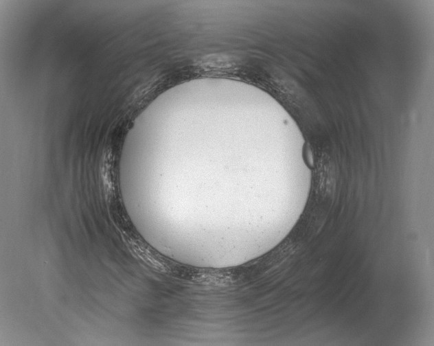 X0000080781346200701051317