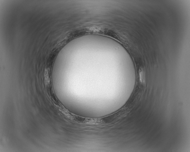 X0000080781347200701051317