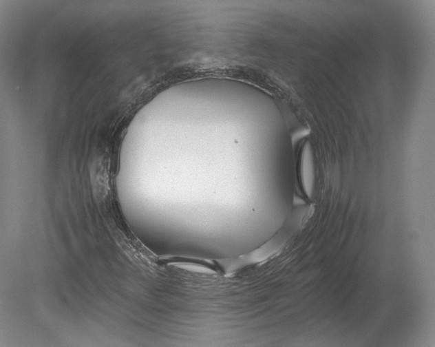 X0000080781348200701051317