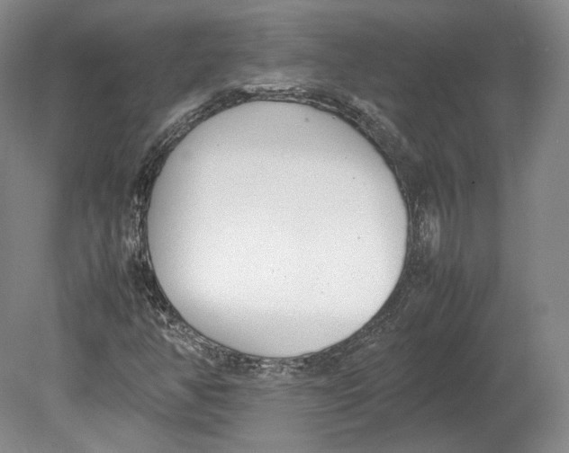 X0000080781350200701051317