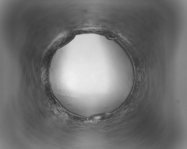 X0000080781351200701051317