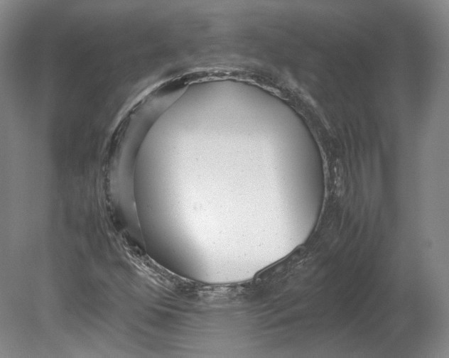 X0000080781352200701051317