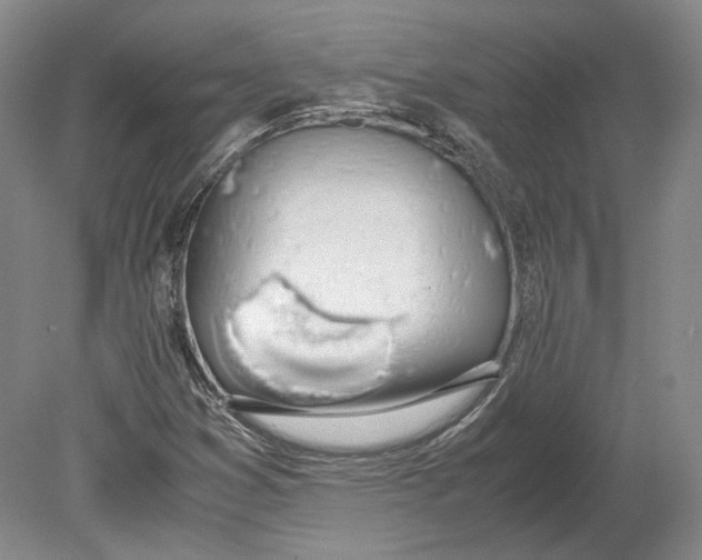 X0000080781353200701051317