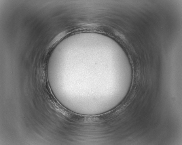 X0000080781354200701051317
