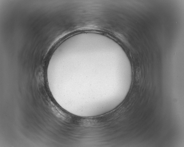 X0000080781356200701051317