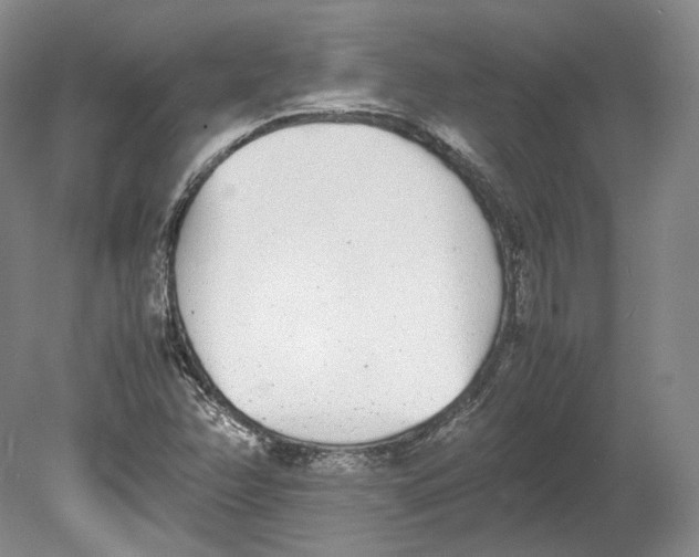 X0000080781358200701051317