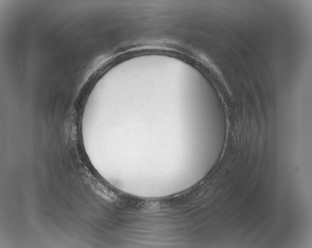 X0000080781360200701051317
