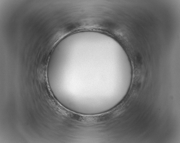 X0000080781361200701051317