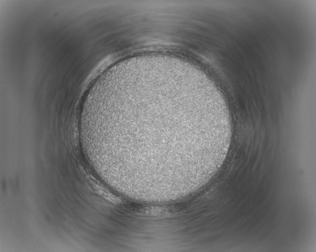 X0000080781362200701051317