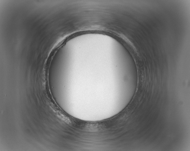 X0000080781364200701051317