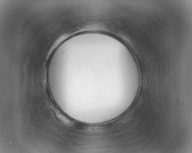 X0000080781366200701051317