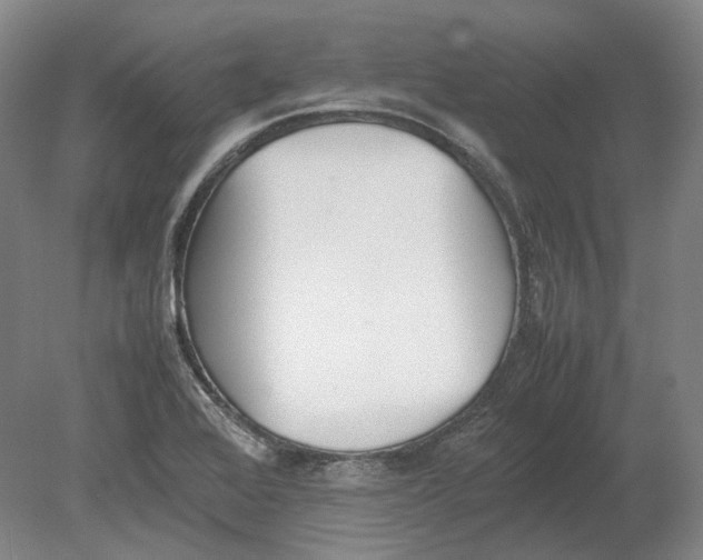 X0000080781368200701051317