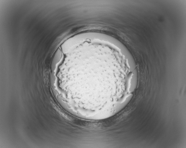 X0000080781369200701051317