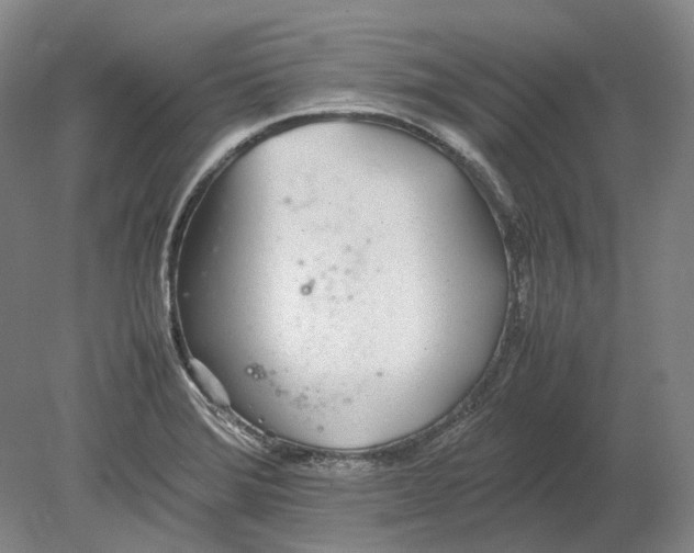 X0000080781372200701051316